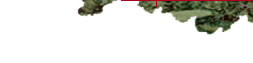 map_3_1