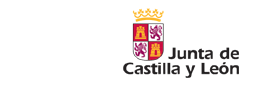 Junta de Castilla y Le&oacute;n